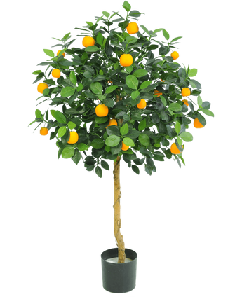 De Kunst sinaasappelboom 120 cm van Easyplants heeft weelderige groene bladeren en veel fel oranje vruchten, weergegeven in een pot tegen een effen witte achtergrond.