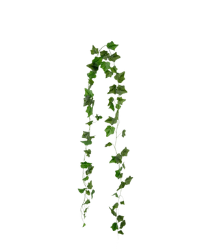La ghirlanda di edera artificiale verde da 180 cm ha foglie di edera verde appuntite che pendono in due fili su uno sfondo bianco semplice.