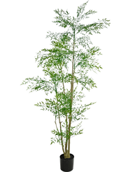 Piante Finte Ruscus 210 cm