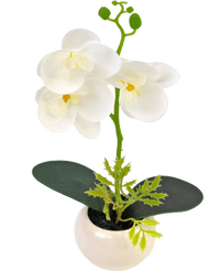 Orchidea artificiale 28 cm bianca in vaso