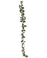De Kunst Tradescantia Slinger Groen 180 cm is een enkele groene bladrank die verticaal staat afgebeeld tegen een effen witte achtergrond.