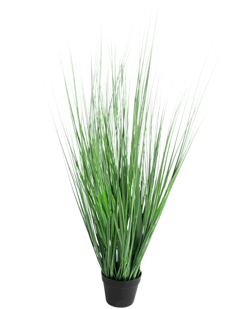 L'erba artificiale cipolla 130 cm ignifuga è una pianta erbacea ornamentale in vaso con foglie verdi lunghe e sottili, su uno sfondo bianco a tinta unita.