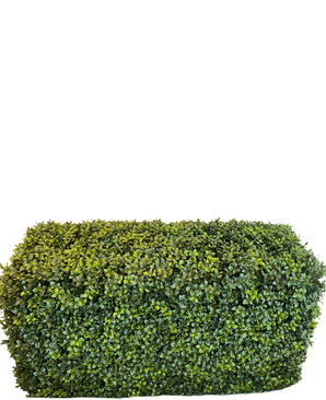 La Siepe Artificiale in Bosso Stile Romano (90 x 35 x 50 cm) è una siepe verde rettangolare fitta, con foglie piccole, isolata su fondo bianco.