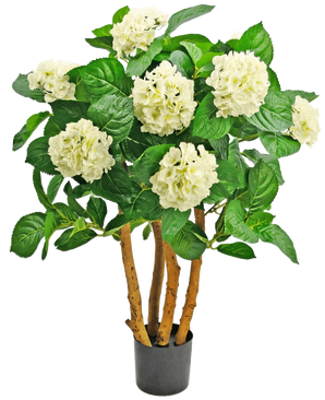 L'ortensia artificiale UV 85 cm bianca è una pianta artificiale in vaso con robusti steli marroni, grandi foglie verdi e mazzi di fiori bianchi simili a ortensie nella parte superiore.