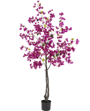 La bouganville artificiale viola da 180 cm ha rami scuri, vivaci fiori viola e foglie verdi in un vaso nero: perfetta come pianta artificiale colorata per il tuo soggiorno.