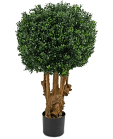 De Kunst Buxusbal Hout Romeinse stijl UV 90 cm heeft een ronde, dichte cluster van groene bladeren op meerdere bruine stengels in een zwarte plantenbak, tegen een witte achtergrond.