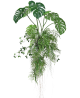 La pianta artificiale sospesa Monstera/Fern Ball 100 cm XL presenta foglie di monstera e felci verdi lussureggianti con lunghi viticci e radici finali, perfetti per aggiungere verde a qualsiasi spazio su uno sfondo bianco.