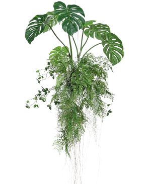 La pianta artificiale sospesa Monstera/Fern Ball 100 cm XL presenta foglie di monstera e felci verdi lussureggianti con lunghi viticci e radici finali, perfetti per aggiungere verde a qualsiasi spazio su uno sfondo bianco.