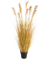 De Kunst Grasplant Sorghum 150 cm brandvertragend heeft lange geelgroene sprieten en hoge bruine pluimen, waardoor het een perfecte keuze is voor interieurdecoratie tegen een witte achtergrond.