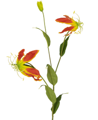 Fiore artificiale Gloriosa 81 cm rosso/giallo
