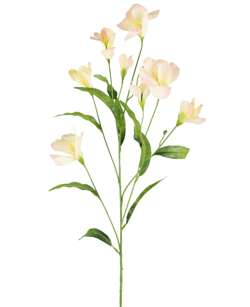 Il rododendro artificiale Azalea Real Touch crema/rosa da 80 cm ha un unico stelo verde ramificato, foglie sottili e delicati fiori rosa crema, bellissimi su uno sfondo bianco semplice.