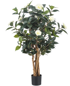 De Kunstplant Camellia japonica 100 cm heeft meerdere bruine stelen, glanzend groene bladeren en verschillende grote witte kunstbloemen in een hoge pot, tegen een effen witte achtergrond.