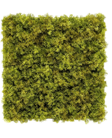 La siepe artificiale Nordic Moss 50x50 cm UV è un pannello quadrato densamente ricoperto di muschio verde lussureggiante su uno sfondo bianco, che crea un aspetto strutturato e naturale, perfetto per interni chic.