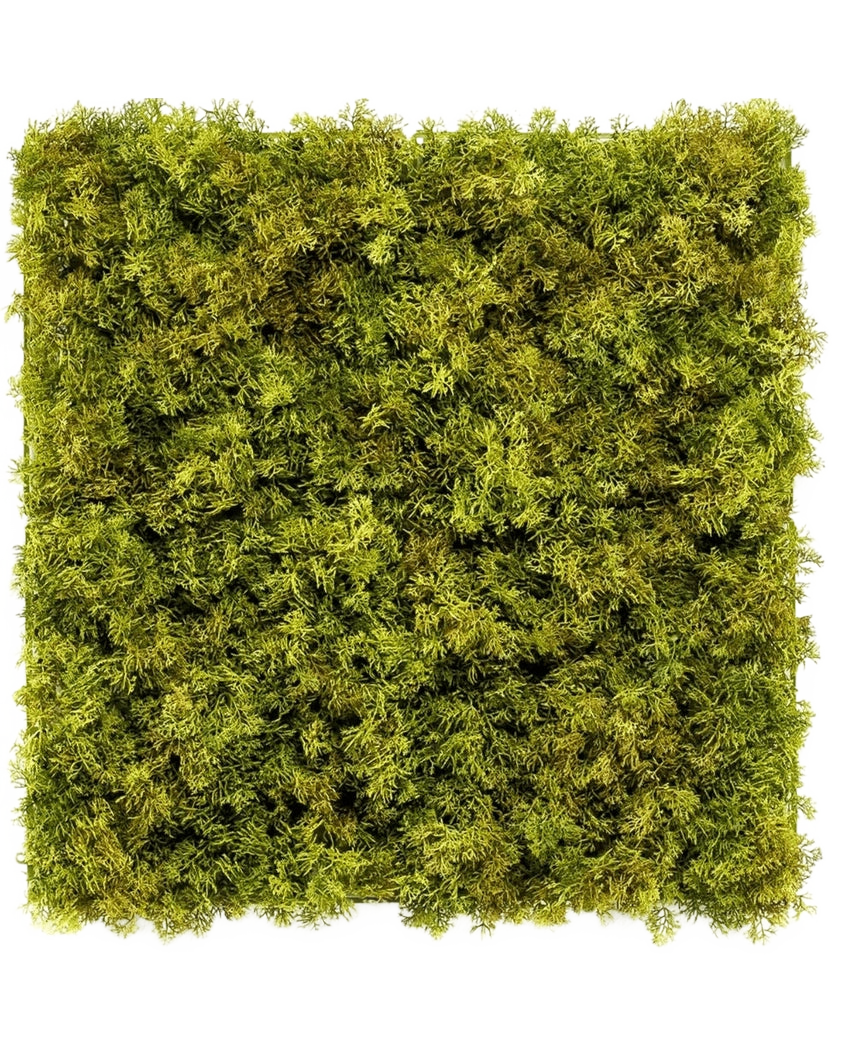 La siepe artificiale Nordic Moss 50x50 cm UV è un pannello quadrato densamente ricoperto di muschio verde lussureggiante su uno sfondo bianco, che crea un aspetto strutturato e naturale, perfetto per interni chic.