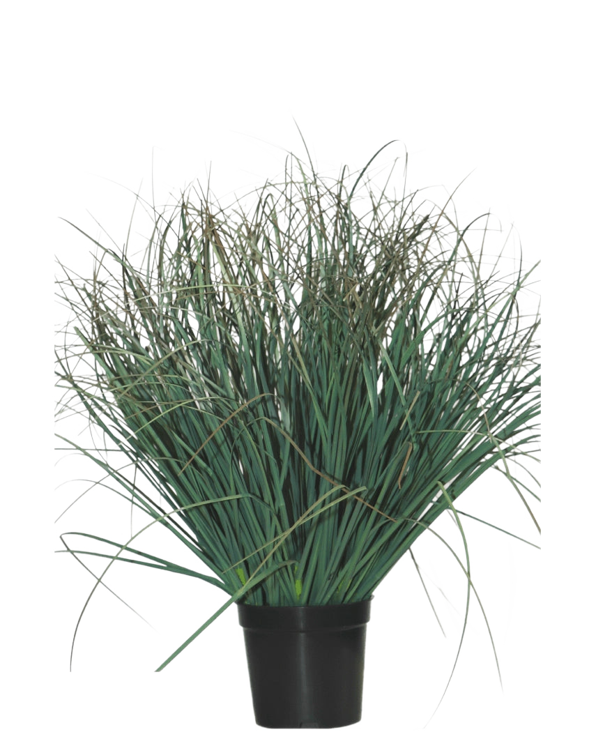 L'erba artificiale per prato verde 50 cm ignifuga è una pianta verde in vaso con foglie lunghe e sottili e alcune punte marroni secche, che dona un aspetto naturale a qualsiasi stanza su un semplice sfondo bianco.
