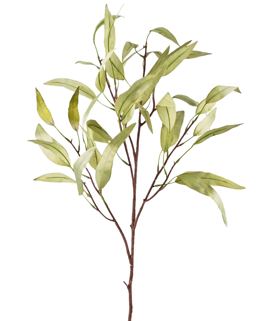Il ramo artificiale di eucalipto niphophila 108 cm verde ha un unico tronco marrone con diversi rami sottili, ciascuno decorato con foglie allungate di colore verde chiaro, su uno sfondo bianco semplice.