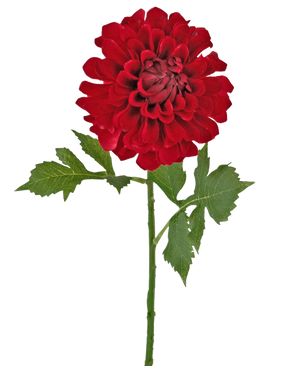 Fiore artificiale Dalia 50 cm rosso: un'unica dalia rossa con più strati di petali e foglie verdi su un lungo stelo, isolata su sfondo bianco.