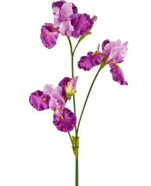 Il fiore artificiale di iris viola da 102 cm ha un lungo stelo verde decorato con diversi vivaci fiori di iris viola e bianchi, ciascuno con volant sui petali e accenti gialli, su un semplice sfondo bianco.