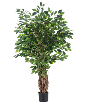 La pianta artificiale Ficus Tropical Liana 150 cm è un albero artificiale alto con un tronco intrecciato e foglie verdi dense, esposto in un piccolo vaso nero su uno sfondo bianco a tinta unita.