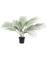 La palma artificiale Chamaedorea da 48 cm ha foglie verdi lunghe e sottili che si espandono verso l'esterno e viene fornita in un semplice vaso di plastica nera su un semplice sfondo bianco.