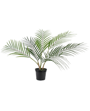 La palma artificiale Chamaedorea da 48 cm ha foglie verdi lunghe e sottili che si espandono verso l'esterno e viene fornita in un semplice vaso di plastica nera su un semplice sfondo bianco.