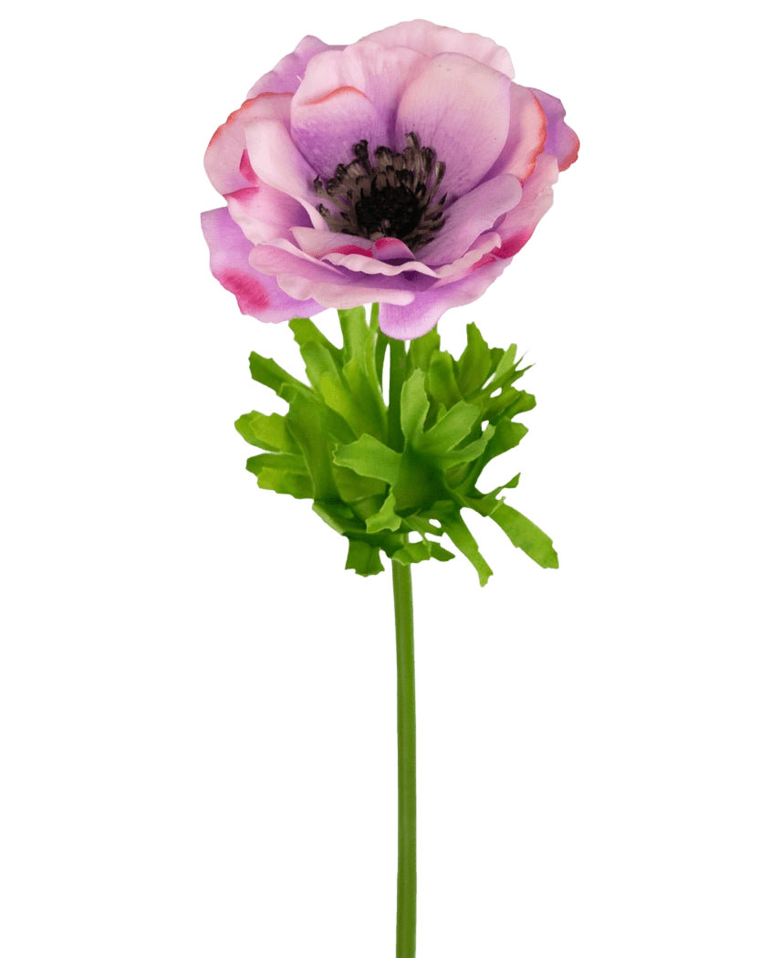 L'Anemone artificiale Real Touch viola 52 cm ha un unico anemone viola e rosa con petali delicati, un cuore scuro, foglie verde brillante e un lungo gambo, su uno sfondo bianco.