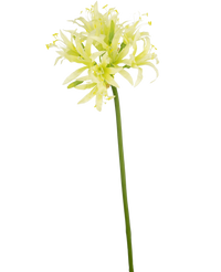 Fiore artificiale Nerine 70 cm verde