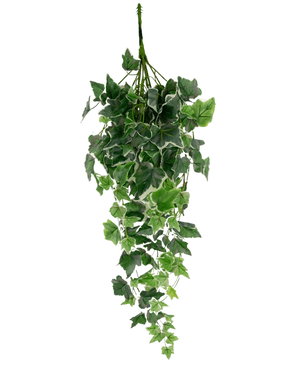 L'edera artificiale verde/bianca da 70 cm ha foglie di edera artificiale in verde con bordi bianchi, disposte a cascata e visualizzate su uno sfondo bianco a tinta unita.