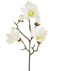Magnolia Artificiale Real Touch Bianco 72cm