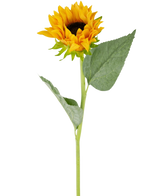 Il girasole artificiale Real Touch da 61 cm ha un singolo girasole artificiale con petali gialli brillanti, un cuore marrone scuro, due grandi foglie verdi e un lungo stelo verde, perfetto da esporre su uno sfondo bianco.