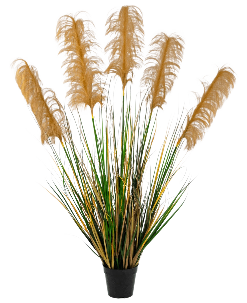 L'Erba di Pampa Artificiale ignifuga da 120 cm ha foglie alte verdi e gialle simili all'erba con soffici pennacchi marroni. Questa elegante pianta artificiale ignifuga aggiunge raffinatezza a qualsiasi collezione di piante finte su uno sfondo bianco.