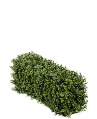 Siepe artificiale di bosso 70x20x25 cm UV
