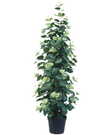 De Kunstplant Eucalyptus 76 cm is een hoge, weelderige kunstmatige eucalyptusplant met ronde groene bladeren in een zwarte pot, tegen een effen witte achtergrond.