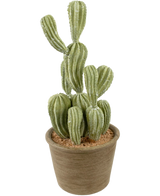 De Kunst Cactus Cereus 35 cm heeft groene, geribbelde rechtopstaande stelen in een pot met bruine structuur en lichtbruine aarde, tegen een effen witte achtergrond.