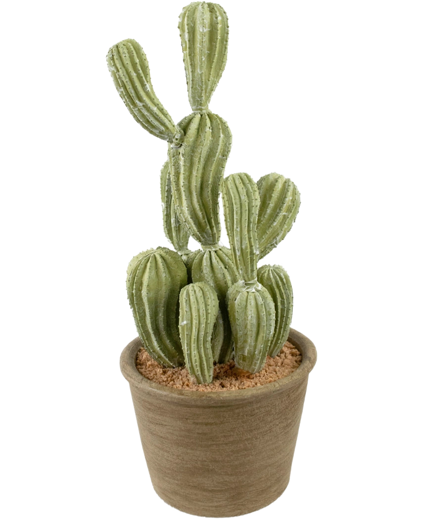 Il cactus artificiale Cereus 35 cm ha steli eretti verdi e costoluti in vaso con struttura marrone e terra marrone chiaro, su uno sfondo bianco uniforme.