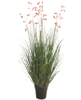 De Kunst Grasplant Duizendpootgras 120 cm brandvertragend heeft lange groene bladeren en roze pluimen op hoge stelen, in een zwarte pot. Deze stijlvolle, brandvertragende kamerplant voegt onderhoudsvrije natuur toe aan elke ruimte.