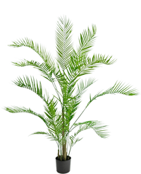 Piante Finte Chamaedorea 150 cm