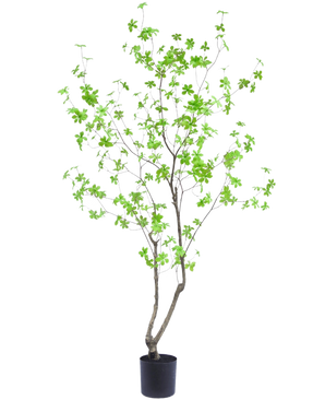 La pianta artificiale Enkianthus 180 cm è una pianta da vaso alta e snella con rami sottili e foglie verde brillante su uno sfondo bianco semplice.