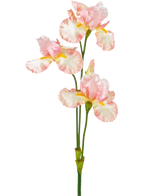 Een Kunstbloem Iris 102 cm licht roze heeft verschillende delicate lichtroze en witte ruches met gele accenten tegen een effen witte achtergrond.