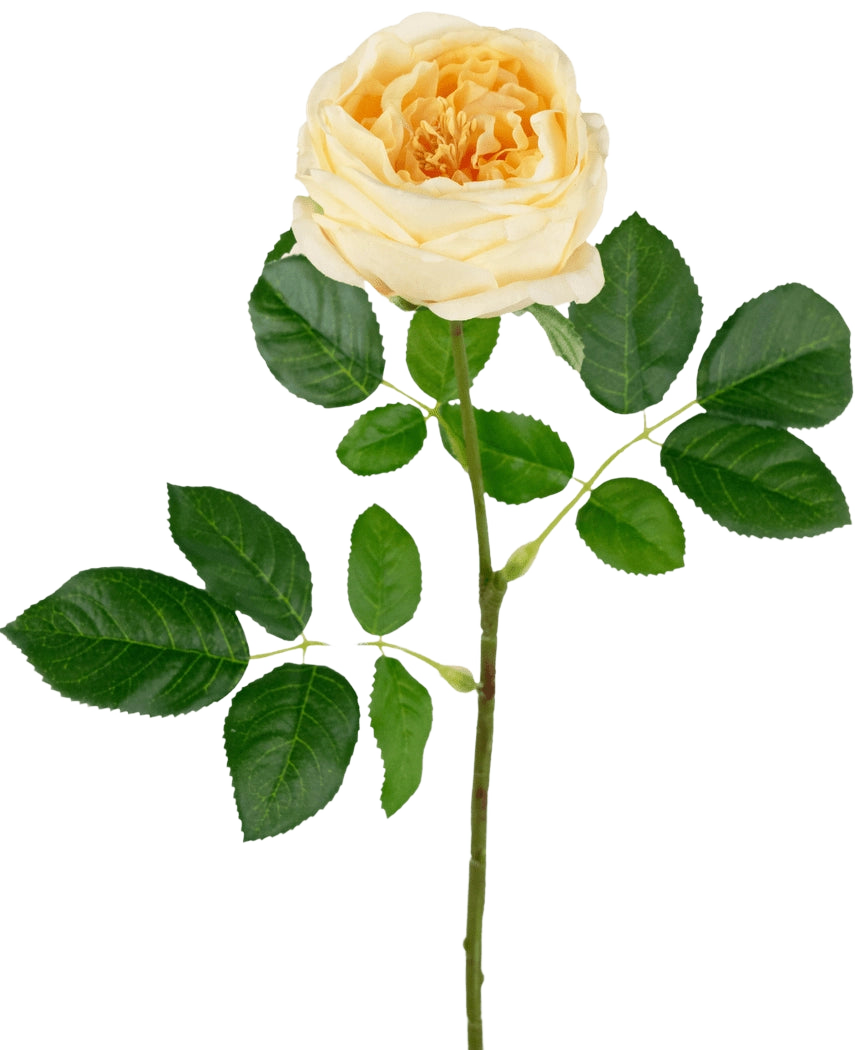 La rosa artificiale da giardino "Anniken" Real Touch gialla da 72 cm ha un'unica rosa gialla con più foglie verdi su un lungo stelo, su uno sfondo bianco semplice.