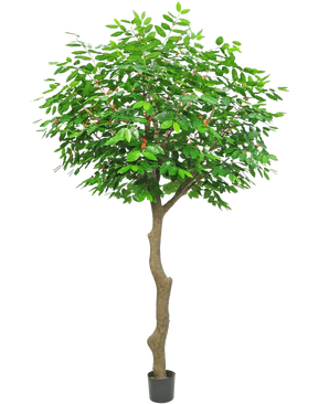 De Kunst Koffieboom 300 cm is een hoge kunstboom met een bruine stam en weelderige groene bladeren, in een kleine zwarte pot tegen een witte achtergrond.
