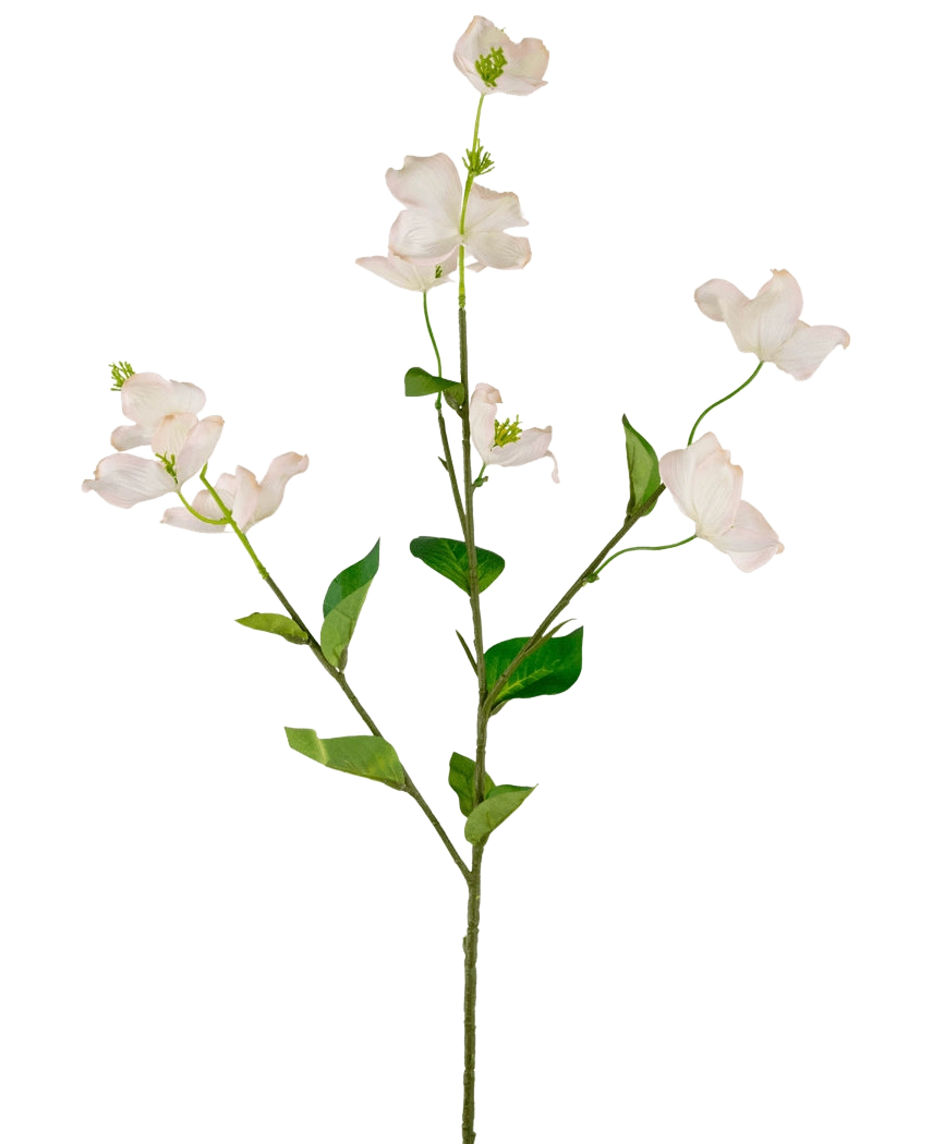 Un singolo corniolo artificiale Real Touch bianco/rosa da 74 cm ha fiori artificiali di corniolo rosa-bianco chiaro e foglie verdi su uno stelo lungo e sottile, su uno sfondo bianco.