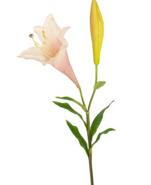 Il fiore artificiale giglio esotico rosa 74 cm ha un unico stelo con un giglio rosa chiaro in fiore e un bocciolo giallo chiuso, circondato da sottili foglie verdi, su uno sfondo bianco.
