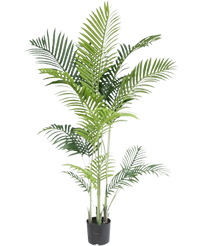Palma Artificiale Phoenix 170 cm